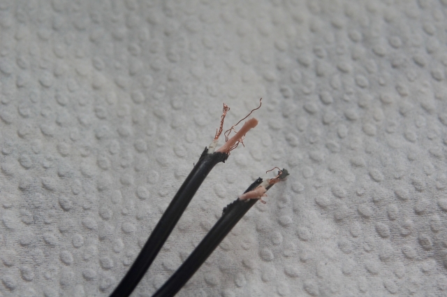 配線や設備のかじり跡