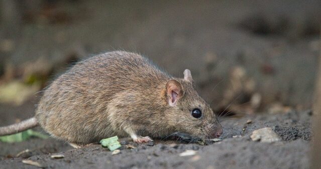 工場や倉庫内での気配